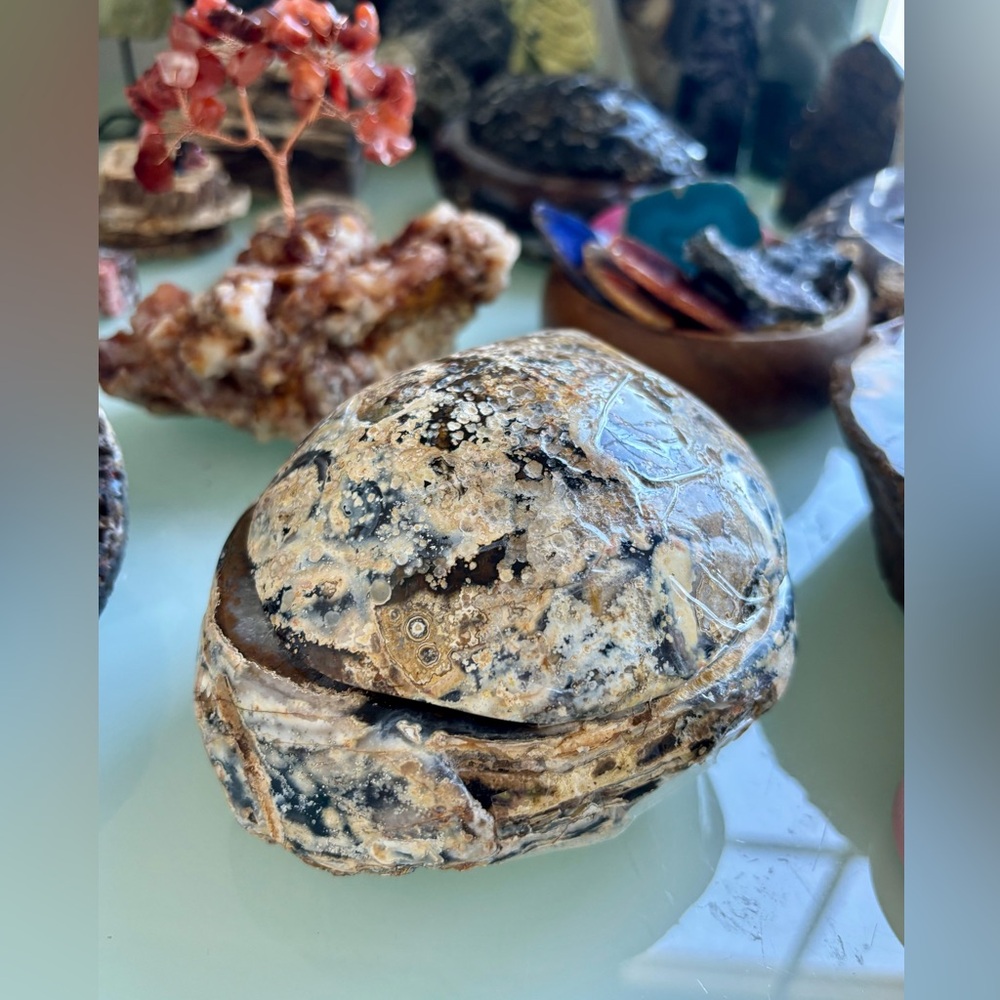 Agate Geode from Brazil - Picture 5 of 10